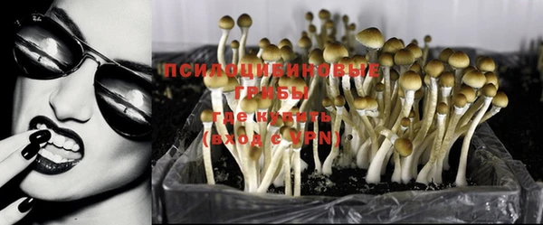 каннабис Беломорск