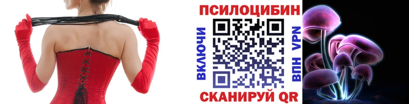 Псилоцибиновые грибы Cubensis Котово